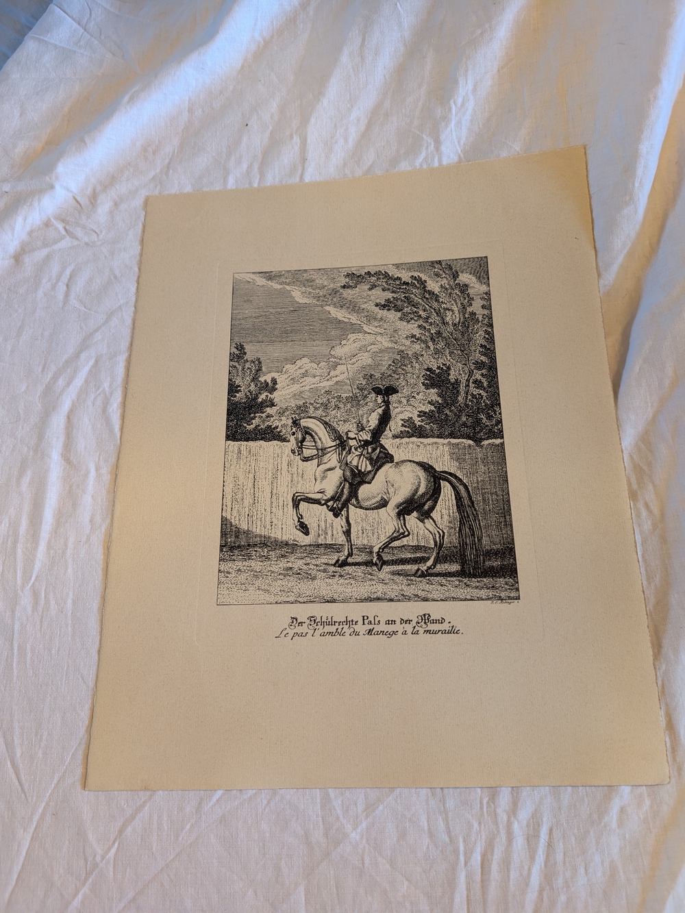 2/40$ Vintage Black and Cream Equestrian Wall Art